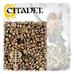 CITADEL SCHEDELS 64-29