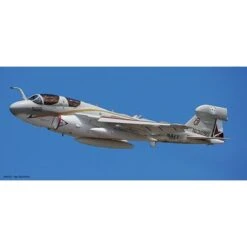 Hasegawa Grumman EA-6B Prowler USNAVY Farewell