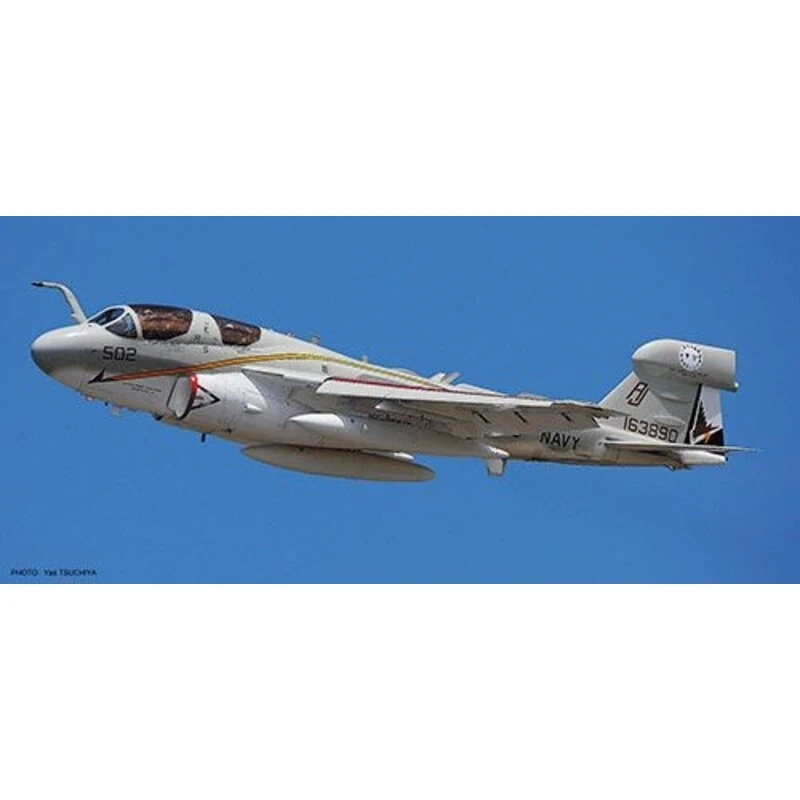 Hasegawa Grumman EA-6B Prowler USNAVY Farewell