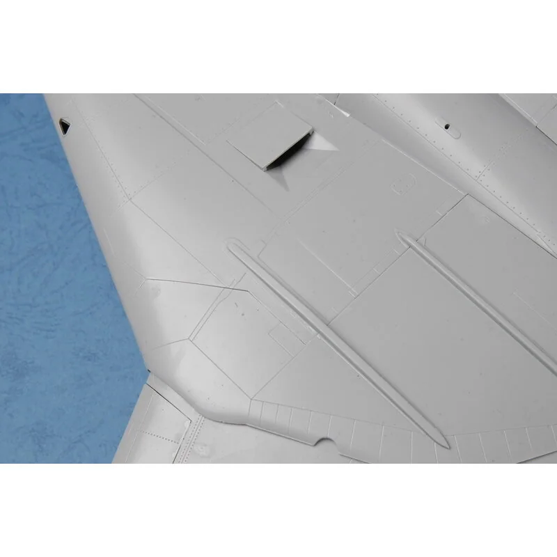 Trumpeter F-14D SUPER TOMCAT - Afbeelding 9